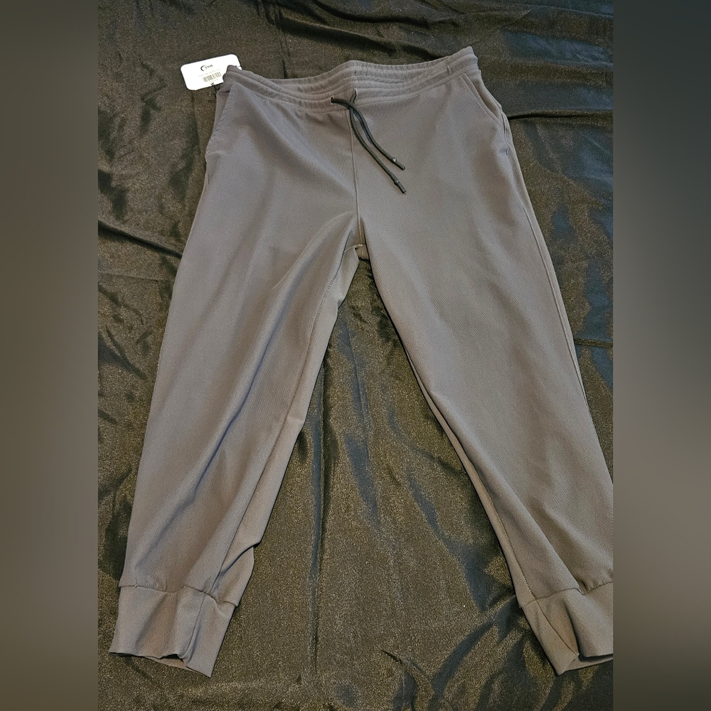 Zyia Slate Edge Joggers